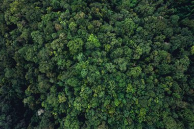 Görkemli Dağ Aralığının Manzaralı Görünümü 