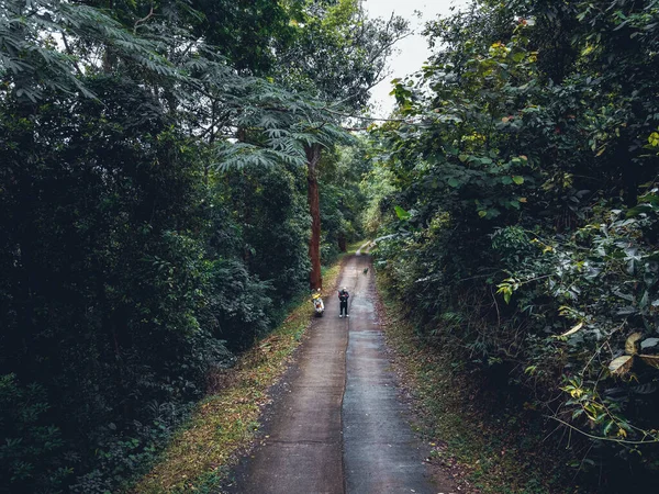 Landweg Een Dal Het Voorjaar — Stockfoto