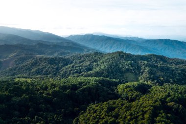 Dağlar ve yaz yukarıdan yeşil ormanlar