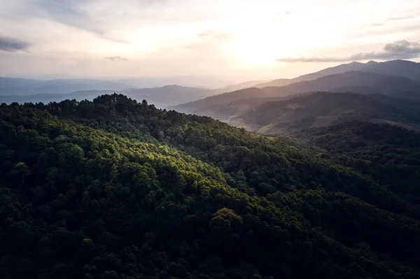 Dağlar Yaz Yukarıdan Yeşil Ormanlar — Stok fotoğraf