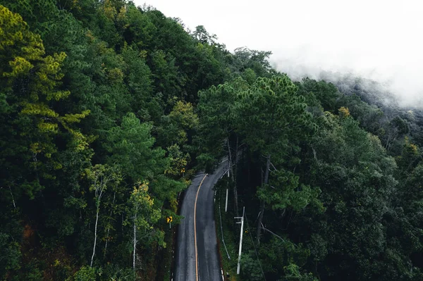 Camino Bosque Estación Lluviosa Naturaleza Árboles Niebla Viaje — Foto de Stock