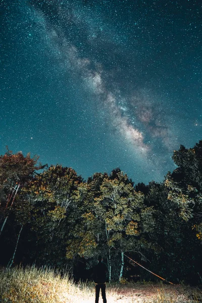 银河和夜空中的星星在田野里 莫德色调 — 图库照片