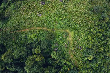 Sabahları dağlardaki çam ormanları insansız hava aracının üzerinde şekillenir.