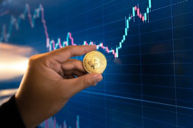 Bitcoin paraları bilgisayarın ve bitcoin grafiğinin önünde.