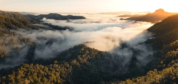 Montagne Nebbia Mattutina Nella Foresta Tropicale Invernale — Foto Stock