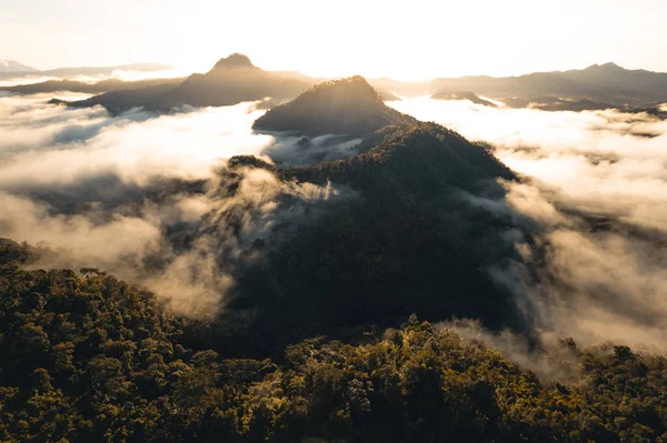 Montagne Nebbia Mattutina Nella Foresta Tropicale Invernale — Foto Stock