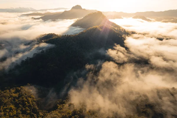 Montagnes Brouillard Matinal Forêt Tropicale Hivernale — Photo