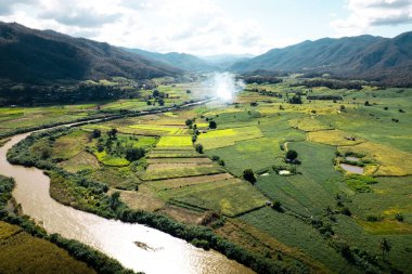 Bahçedeki tarla, dağ manzarası ve açık havada yeşil tarlalar