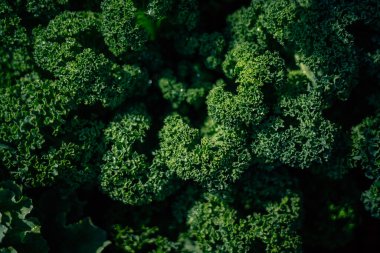 Yüzeydeki bir açıdan soyut yeşil yapraklı resimler ve yeşil yapraklı sebzelerin ayrıntıları.