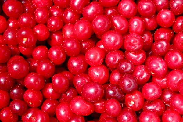 Red ripe cherry — Stock Photo, Image