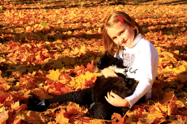 Menina brinca com seu gato no parque de outono — Fotografia de Stock