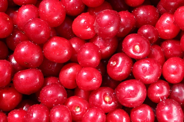 Bayas rojas maduras de cereza —  Fotos de Stock