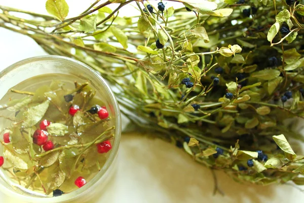 El té de las hojas y las bayas del arándano y schisandra —  Fotos de Stock