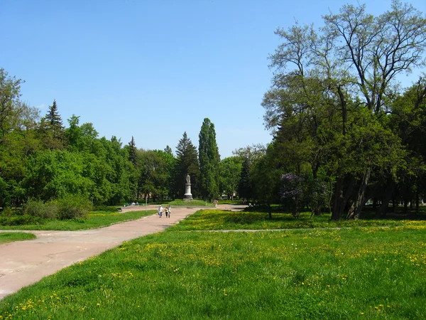 Mensen lopen in park met grote bomen — Stockfoto