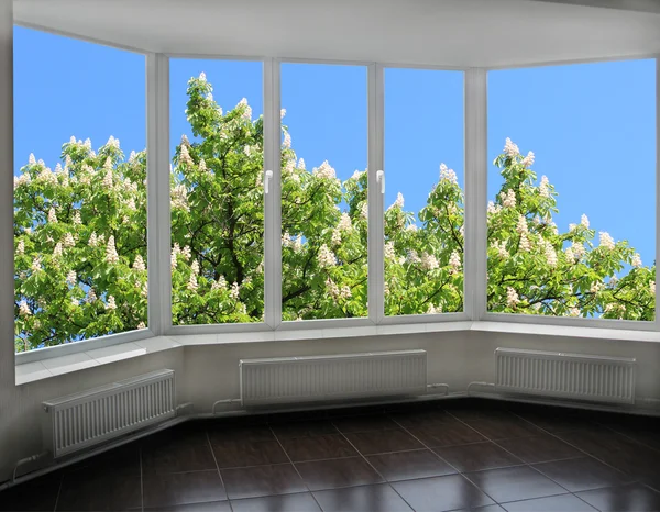 Modern window overlooking the blooming chestnut tree — Stock Photo, Image