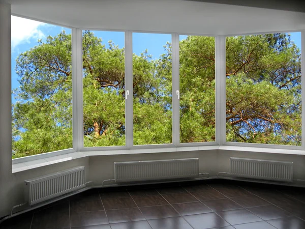 Windows 可以俯瞰松翠绿的树枝 — 图库照片