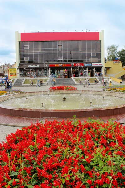 Lit de fleurs avec fleurs de salvia dans la ville de Drohobych — Photo