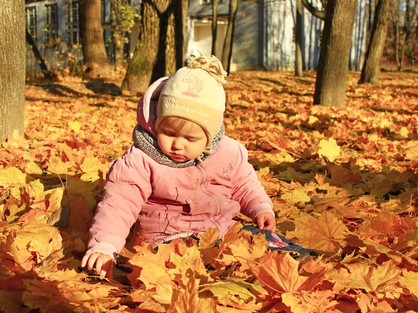 Baby spielt mit Herbstlaub im Park — Stockfoto