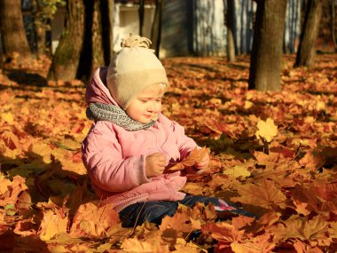 Sonbahar yaprakları Park ile bebek çalış