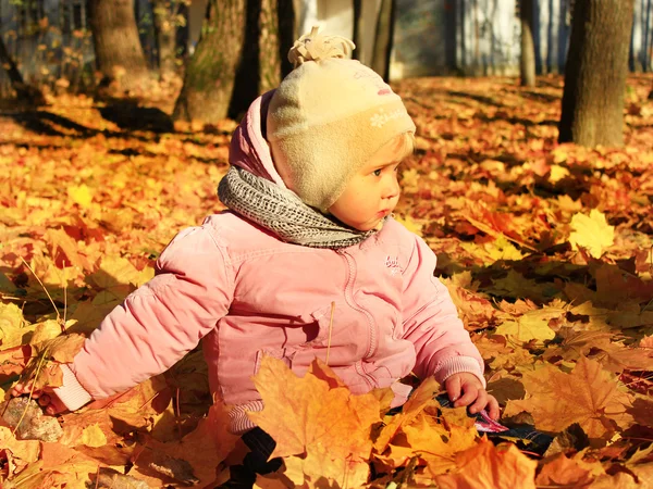 Bebê brinca com folhas de outono no parque — Fotografia de Stock