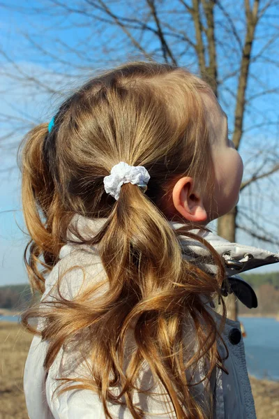 Bambina con un sacco di trecce — Foto Stock