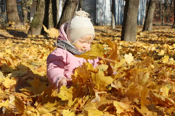 Baby plays with Autumn leaves in the park — Stock Photo, Image
