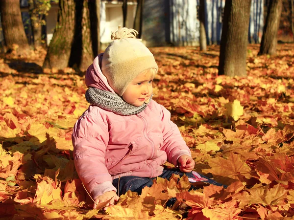 Ребенок играет с листьями Autumn в парке — стоковое фото