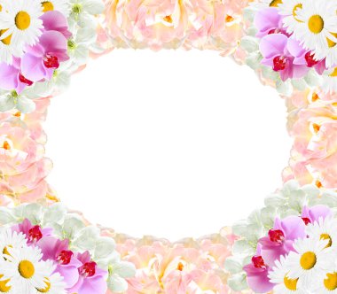 çerçevelemek--dan farklı çiçek orkide Lale papatya