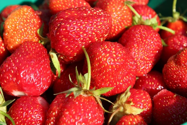 Mogna röda jordgubbar — Stockfoto