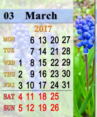 Takvim Şubat 2017 muscari ile