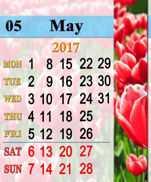 Calendario de mayo 2017 con tulipanes en el macizo de flores — Foto de Stock
