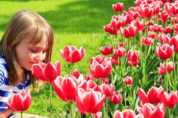 Liten flicka luktar tulpaner på blomma-sängen — Stockfoto