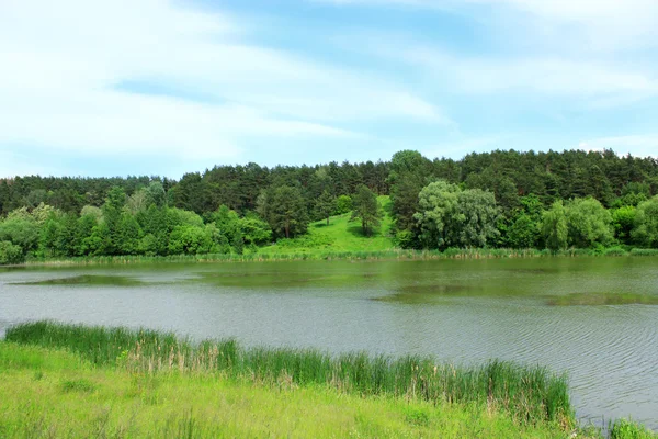 Zomer landschap met rivier en bos — Stockfoto