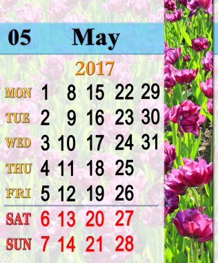 Takvim leylak Lale ile Mayıs 2017