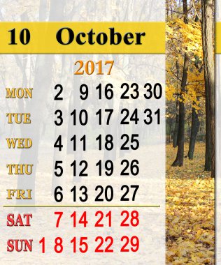 Takvim Ekim 2017 park sarı yaprakları ile