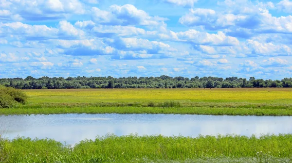 Summer krajobraz z jeziorem pole i chmury — Zdjęcie stockowe