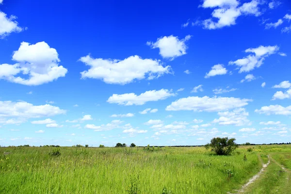 Paisagem de verão com campo estrada rural e nuvens — Fotografia de Stock