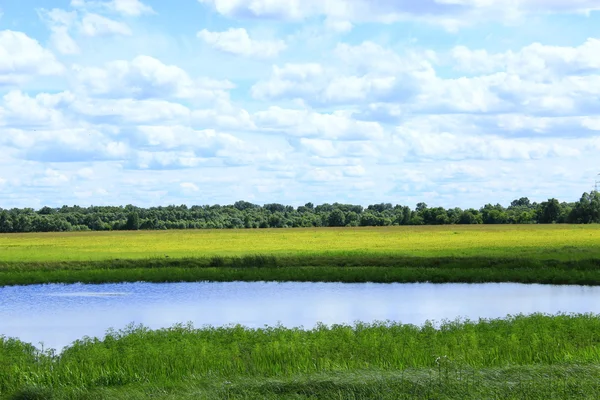 Краєвид з літнім озерним полем і хмарами — стокове фото