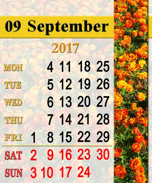 Calendario per settembre 2017 con calendule — Foto Stock