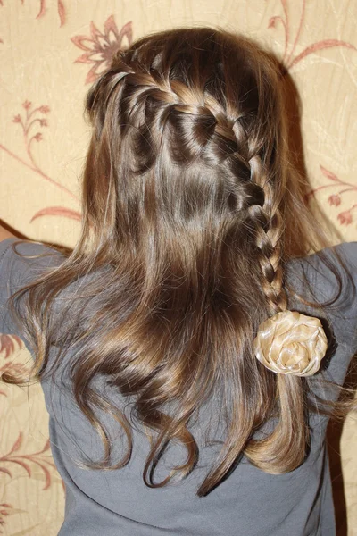 Young girl with nice braids back view — Stock Photo, Image