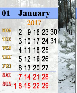 Takvim kış pines ile Ocak 2017