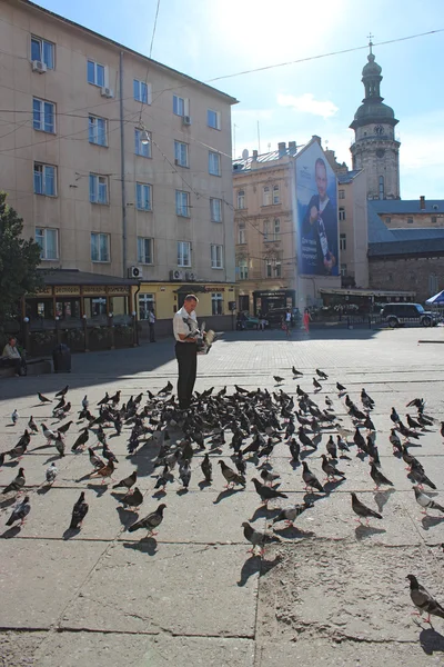 Homem alimenta pombos na estrada da cidade em Lviv — Fotografia de Stock