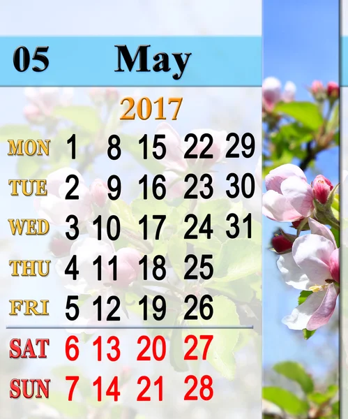 Календарь на май 2016 года с цветущей яблоней — стоковое фото
