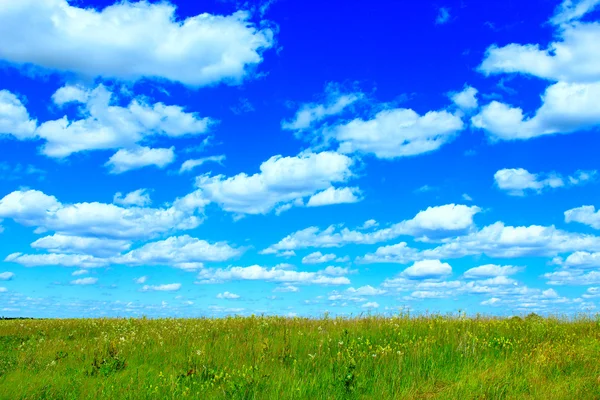 Prado de verano y cielo azul con nubes blancas . — Foto de Stock