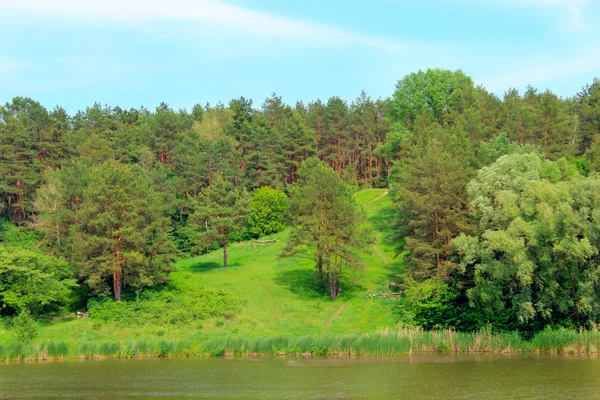 Bosque y río —  Fotos de Stock