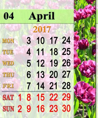 Takvim leylak Lale ile Nisan 2017