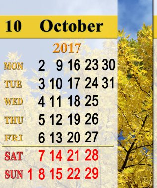 Takvim Ekim 2017 sarı yaprakları ile
