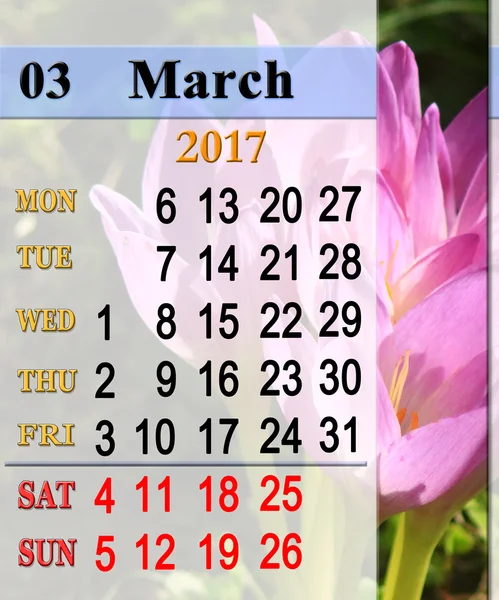 Kalendarz dla marca 2017 z różowe kwiaty colchicum — Zdjęcie stockowe