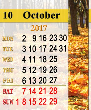 Takvim Ekim 2017 Park sarı yaprakları ile