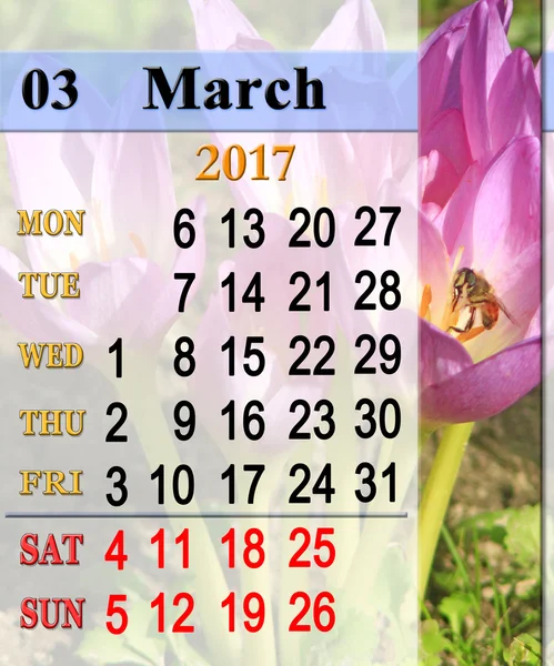 Calendar for March 2017 with pink flowers of colchicum — Stock Photo, Image